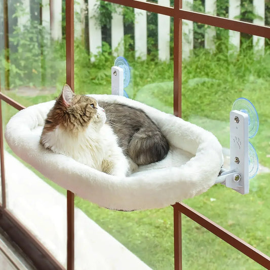 Kattenhangmat